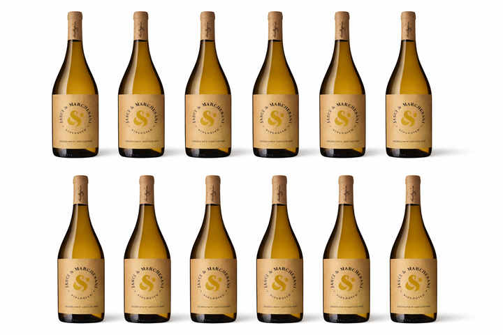 Trebbiano DOC Organic