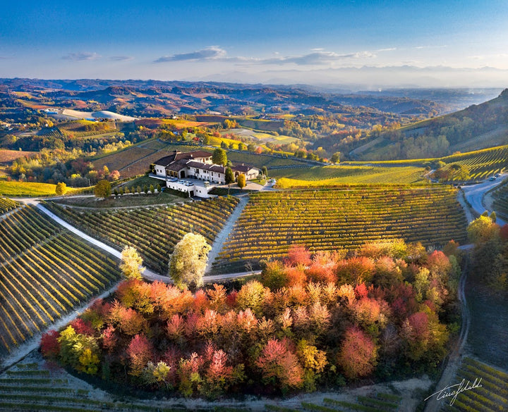 2021 Elvio Cogno Barbera Bricco Merli